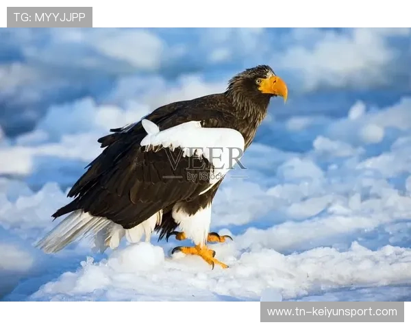 海鹰逆转取胜，赛后更衣室气氛热烈，this page isn't working海鹰